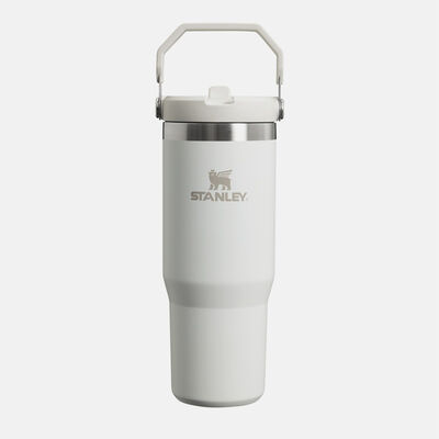 THE ICEFLOW FLIP STRAW TUMBLER | 0.89 L כוס עם קשית